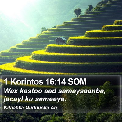 1 Korintos 16:14 SOM Bible Verse Image
