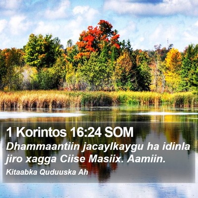 1 Korintos 16:24 SOM Bible Verse Image