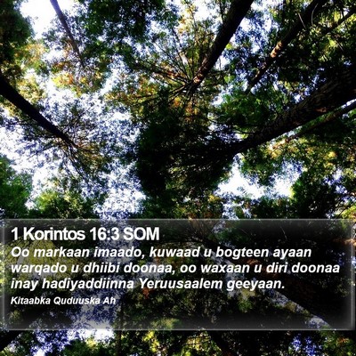 1 Korintos 16:3 SOM Bible Verse Image
