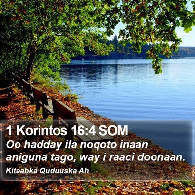 1 Korintos 16:4 SOM Bible Verse Image