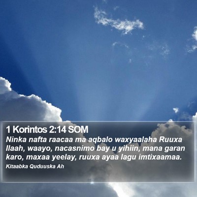 1 Korintos 2:14 SOM Bible Verse Image