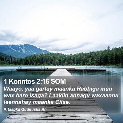 1 Korintos 2:16 SOM Bible Verse Image