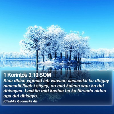 1 Korintos 3:10 SOM Bible Verse Image