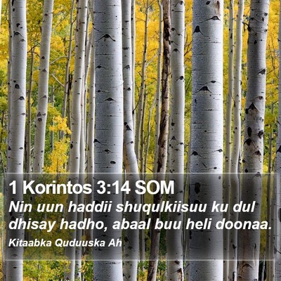 1 Korintos 3:14 SOM Bible Verse Image