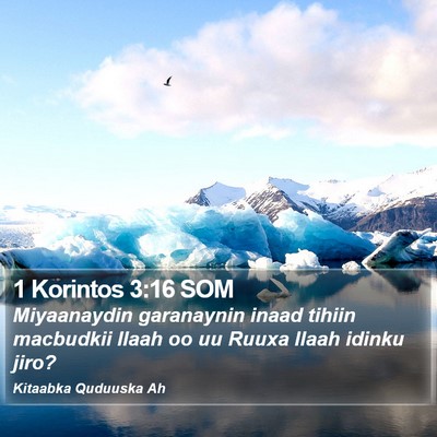 1 Korintos 3:16 SOM Bible Verse Image