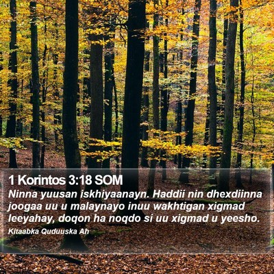 1 Korintos 3:18 SOM Bible Verse Image