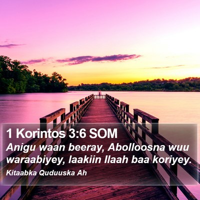 1 Korintos 3:6 SOM Bible Verse Image