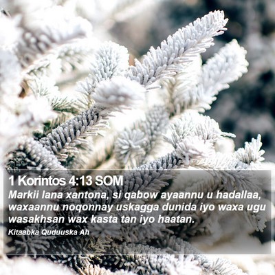 1 Korintos 4:13 SOM Bible Verse Image