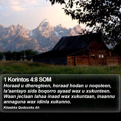 1 Korintos 4:8 SOM Bible Verse Image