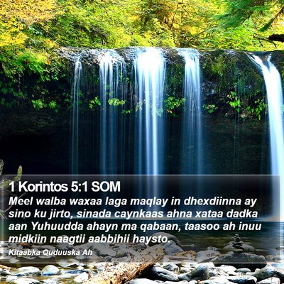 1 Korintos 5:1 SOM Bible Verse Image