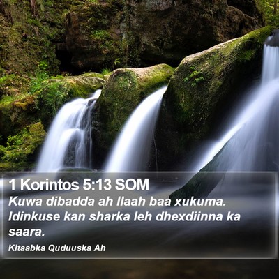 1 Korintos 5:13 SOM Bible Verse Image