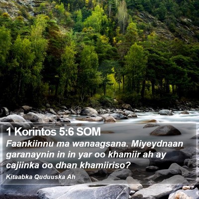 1 Korintos 5:6 SOM Bible Verse Image