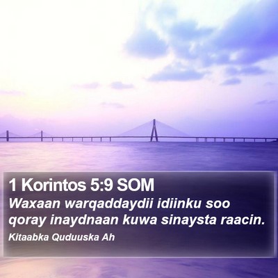 1 Korintos 5:9 SOM Bible Verse Image