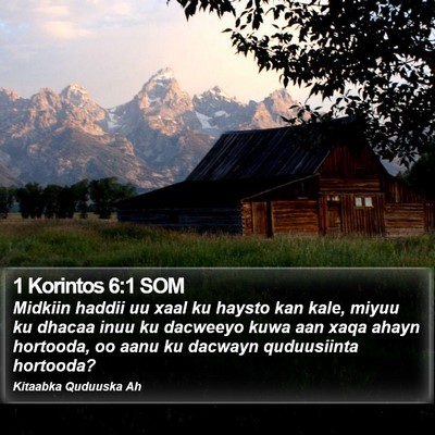 1 Korintos 6:1 SOM Bible Verse Image
