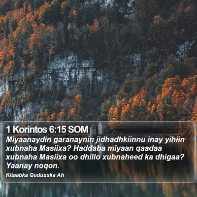 1 Korintos 6:15 SOM Bible Verse Image