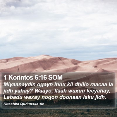 1 Korintos 6:16 SOM Bible Verse Image