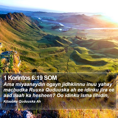 1 Korintos 6:19 SOM Bible Verse Image