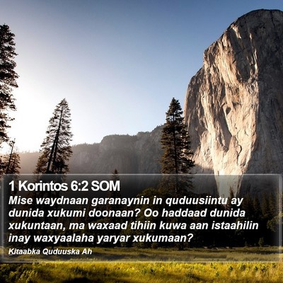 1 Korintos 6:2 SOM Bible Verse Image