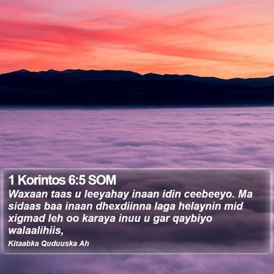 1 Korintos 6:5 SOM Bible Verse Image