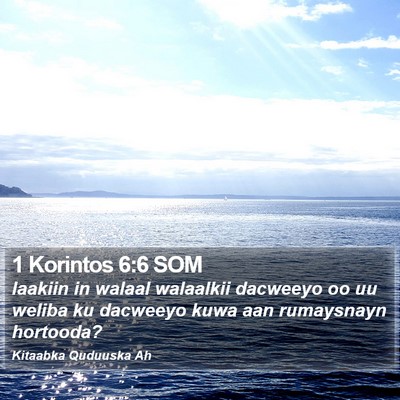 1 Korintos 6:6 SOM Bible Verse Image