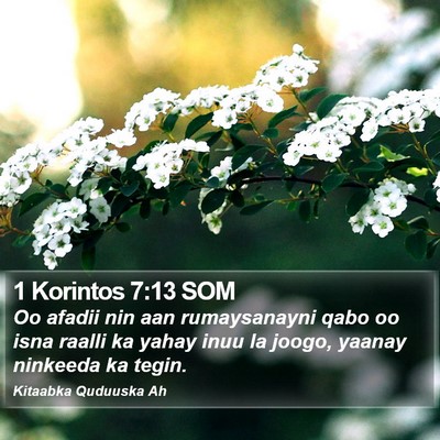 1 Korintos 7:13 SOM Bible Verse Image