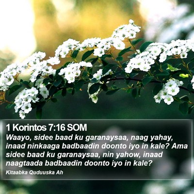 1 Korintos 7:16 SOM Bible Verse Image