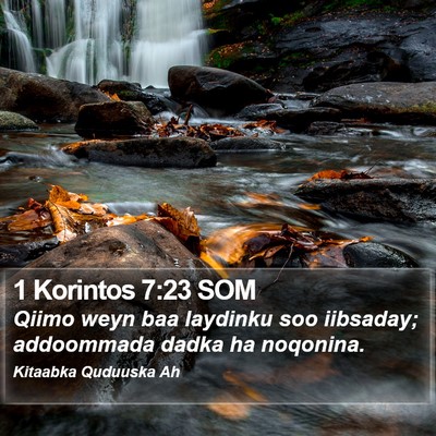 1 Korintos 7:23 SOM Bible Verse Image
