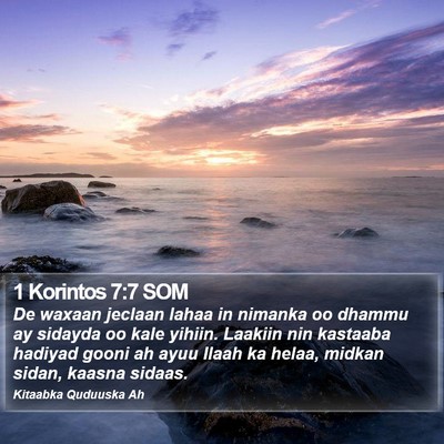 1 Korintos 7:7 SOM Bible Verse Image