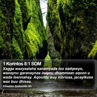 1 Korintos 8:1 SOM Bible Verse Image