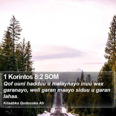 1 Korintos 8:2 SOM Bible Verse Image