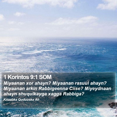 1 Korintos 9:1 SOM Bible Verse Image