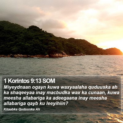 1 Korintos 9:13 SOM Bible Verse Image