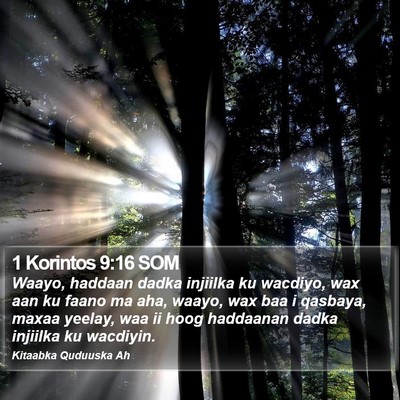 1 Korintos 9:16 SOM Bible Verse Image