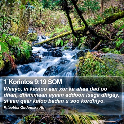 1 Korintos 9:19 SOM Bible Verse Image