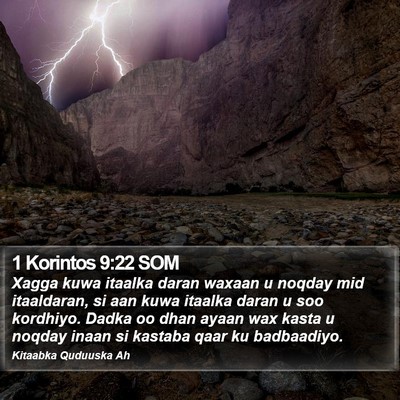 1 Korintos 9:22 SOM Bible Verse Image