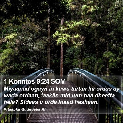 1 Korintos 9:24 SOM Bible Verse Image