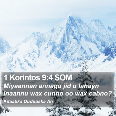 1 Korintos 9:4 SOM Bible Verse Image