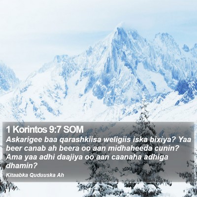 1 Korintos 9:7 SOM Bible Verse Image
