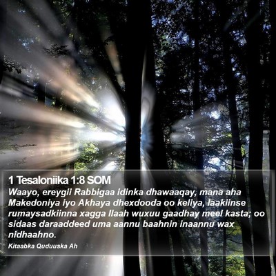 1 Tesaloniika 1:8 SOM Bible Verse Image