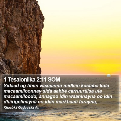 1 Tesaloniika 2:11 SOM Bible Verse Image