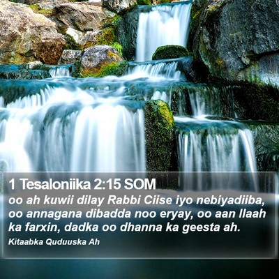 1 Tesaloniika 2:15 SOM Bible Verse Image