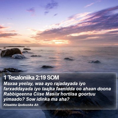1 Tesaloniika 2:19 SOM Bible Verse Image