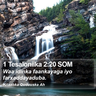 1 Tesaloniika 2:20 SOM Bible Verse Image
