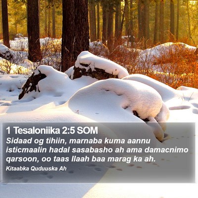 1 Tesaloniika 2:5 SOM Bible Verse Image