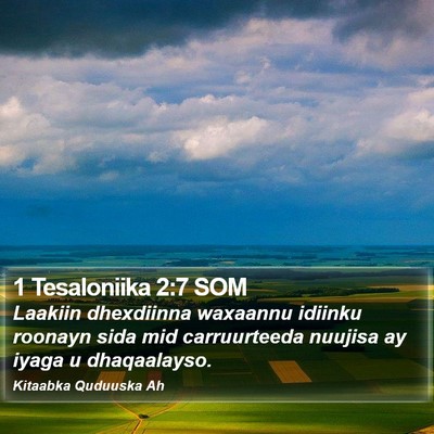 1 Tesaloniika 2:7 SOM Bible Verse Image