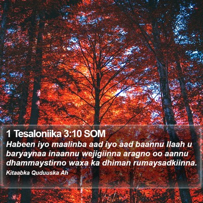 1 Tesaloniika 3:10 SOM Bible Verse Image