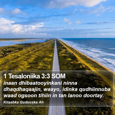 1 Tesaloniika 3:3 SOM Bible Verse Image