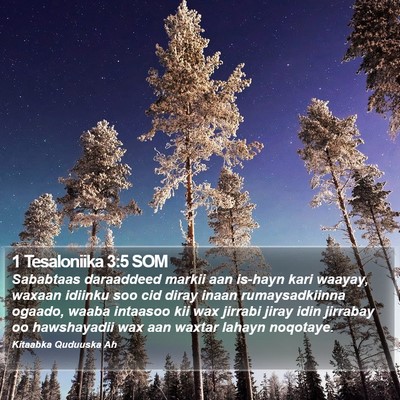 1 Tesaloniika 3:5 SOM Bible Verse Image
