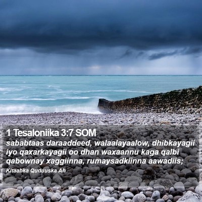 1 Tesaloniika 3:7 SOM Bible Verse Image
