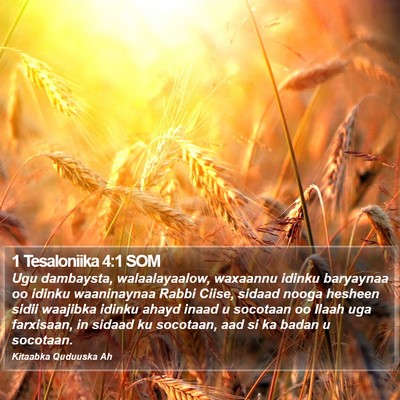 1 Tesaloniika 4:1 SOM Bible Verse Image